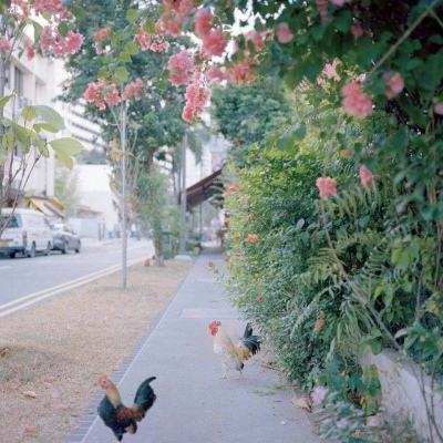 港澳宝典下载手机版