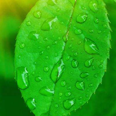 ag真人平台官方下载手机版截图